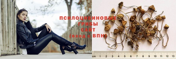 MESCALINE Арсеньев