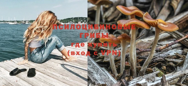 гидропоника Аркадак
