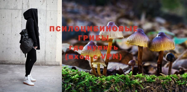 MESCALINE Арсеньев