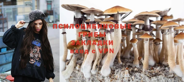 MESCALINE Арсеньев