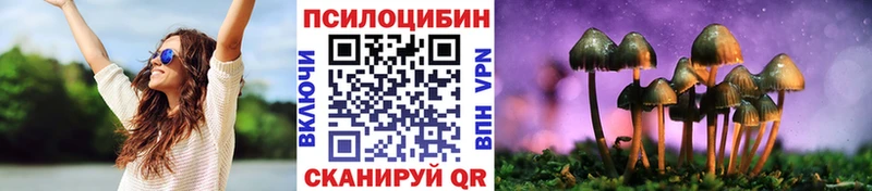 Галлюциногенные грибы Psilocybine cubensis  Нязепетровск 